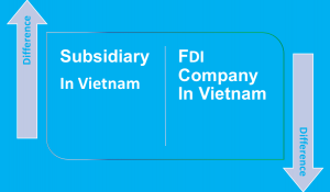 Difference between subsidiary and FDI company in Vietnam
