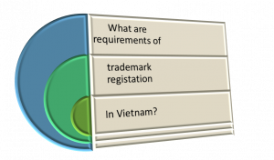 What are requirements on trademark registration applications in Vietnam?