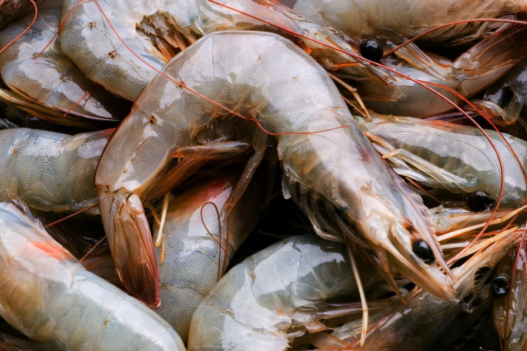 Anti-dumping measures for for types of shrimp in Vietnam, Anti-dumping measures of shrimp in Vietnam