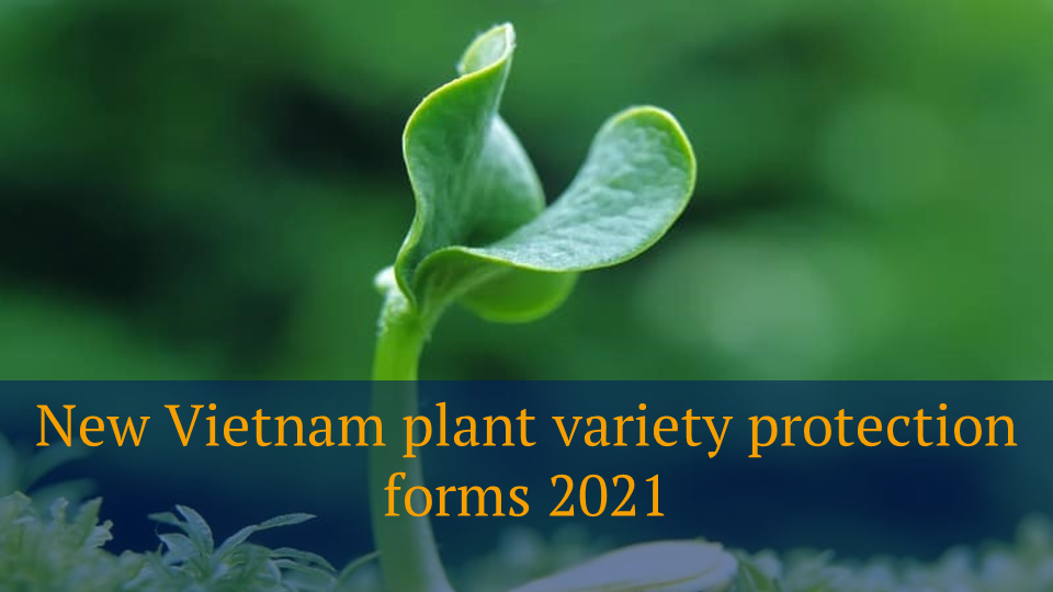 New Vietnam plant variety protection forms 2021