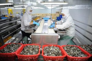 Trade remedies in Vietnam's seafood industry cannot be underestimated, Trade remedies in Vietnam's seafood industry, Vietnam's seafood industry cannot be underestimated, Vietnam's seafood industry,