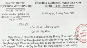 Vietnam send a questionnaire to domestic producers and importers involved in the import of prestressed steel cable products, questionnaire of Vietnam to domestic producers and importers involved in the import of prestressed steel cable products, questionnaire to domestic producers and importers in Vietnam, questionnaire on prestressed steel cable products to domestic producers and importers in Vietnam,