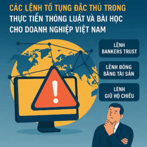 Ứng phó với gian lận xuyên biên giới bằng các lệnh tố tụng đặc thù trong hệ thống thông luật, Doanh nghiệp Việt Nam cần lưu ý các lệnh tố tụng thông luật để xử lý gian lận xuyên biên giới, Các lệnh tố tụng đặc thù trong thông luật và bài học cho doanh nghiệp Việt Nam về gian lận quốc tế, Gian lận xuyên biên giới và kinh nghiệm áp dụng lệnh tố tụng từ hệ thống pháp luật thông luật, Bài học từ thông luật trong việc đối phó gian lận xuyên biên giới cho doanh nghiệp Việt Nam,