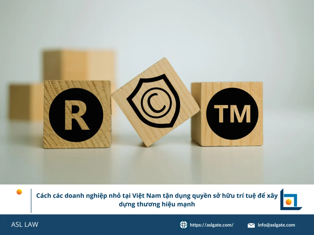 Infographic từng bước hướng dẫn doanh nghiệp nhỏ tại Việt Nam đăng ký nhãn hiệu và thiết lập danh mục SHTT cơ bản.