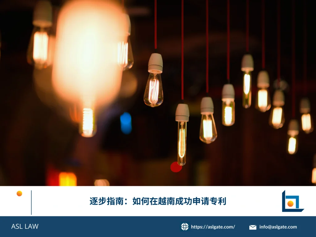 专业专利代理人向外国企业客户讲解越南专利申请流程图和技术文件准备要求