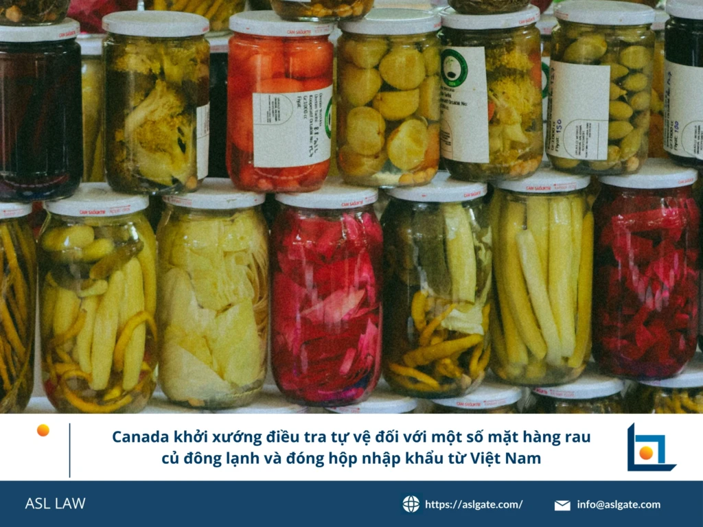 ASL LAW chuyên gia phòng vệ thương mại phân tích thông báo khởi xướng điều tra tự vệ của Canada đối với rau củ đông lạnh và đóng hộp Việt Nam tại văn phòng Hà Nội
