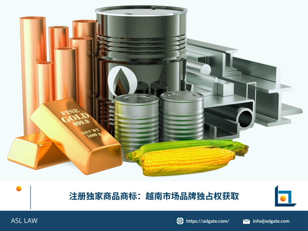 ASL LAW商标专家为客户展示越南商标注册证书并讲解品牌独占权获取的关键策略