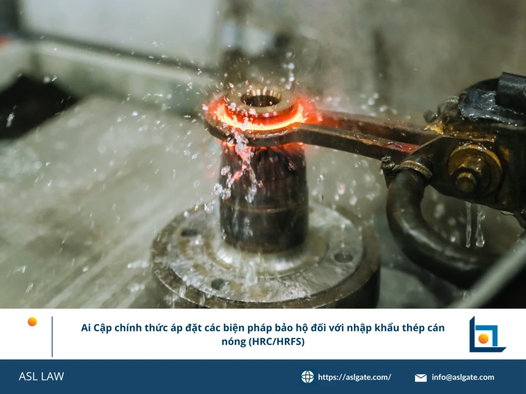 ASL LAW chuyên gia phòng vệ thương mại phân tích quyết định tự vệ thép cán nóng của Ai Cập tại văn phòng Hà Nội