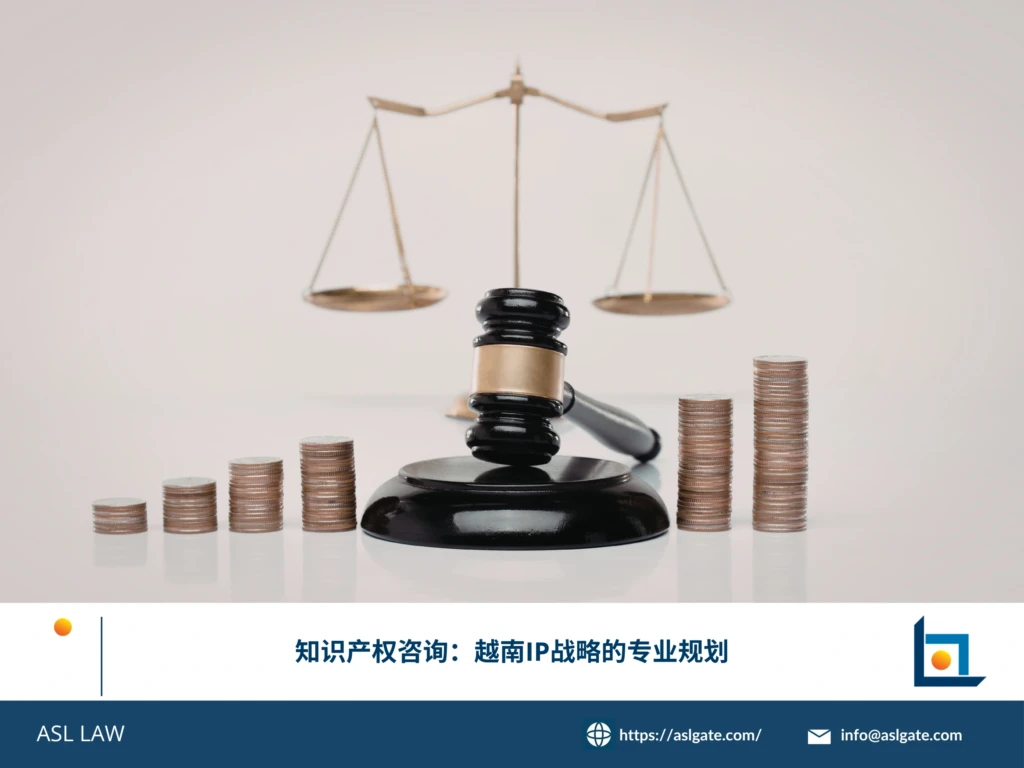 ASL LAW知识产权战略顾问为企业客户讲解越南IP战略的专业规划及综合布局方案