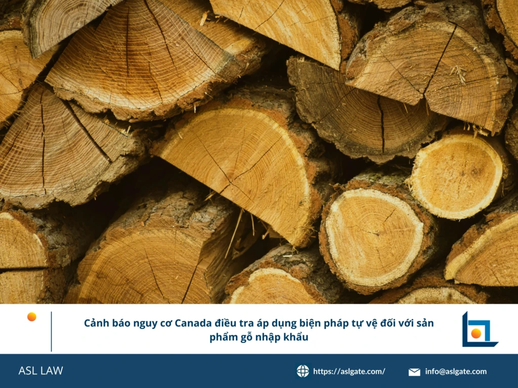 ASL LAW chuyên gia phòng vệ thương mại phân tích thông báo điều tra tự vệ gỗ của Canada tại văn phòng Hà Nội