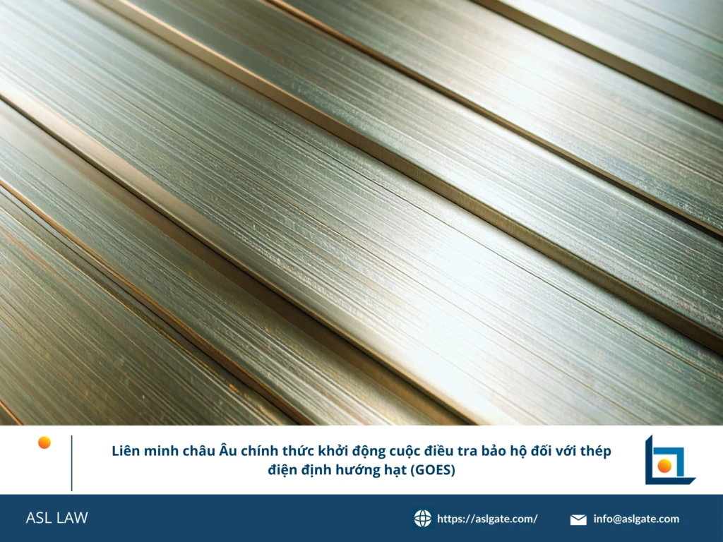 ASL LAW chuyên gia phòng vệ thương mại phân tích thông báo khởi xướng điều tra tự vệ của EU đối với thép GOES tại văn phòng Hà Nội