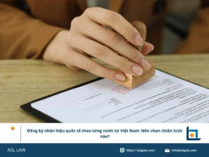 ASL LAW chuyên gia nhãn hiệu tư vấn cho doanh nghiệp Việt Nam về chiến lược đăng ký nhãn hiệu quốc tế tại văn phòng Hà Nội