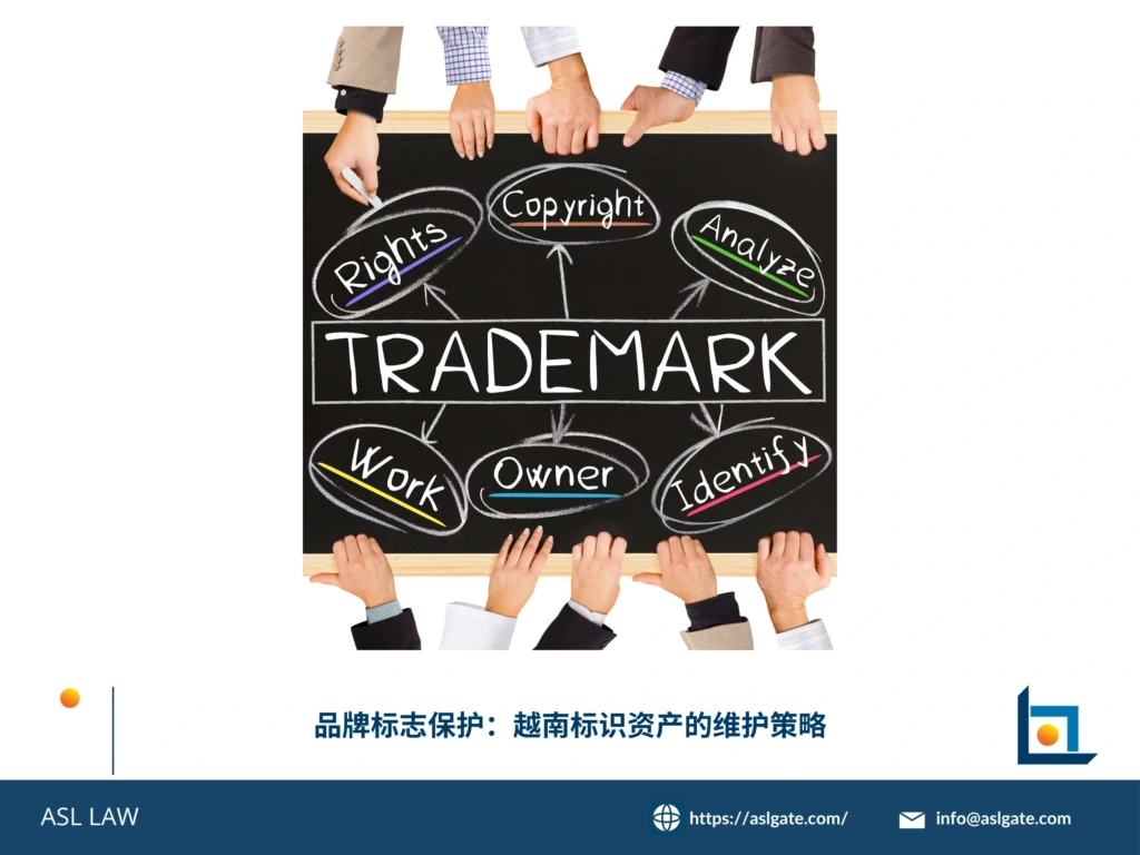 ASL LAW商标律师在河内办公室为客户讲解越南品牌标志保护的长期维护与侵权应对策略