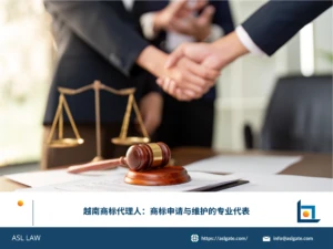 ASL LAW商标代理人团队为客户讲解越南商标申请流程及后续维护策略