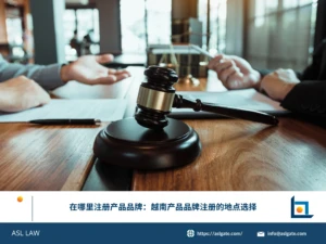 ASL LAW商标代理人向企业客户介绍越南产品品牌注册的官方受理机构及注册地点选择