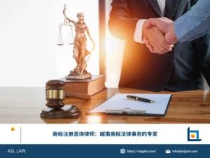 ASL LAW商标律师团队在河内办公室为客户提供越南商标注册咨询与法律事务支持