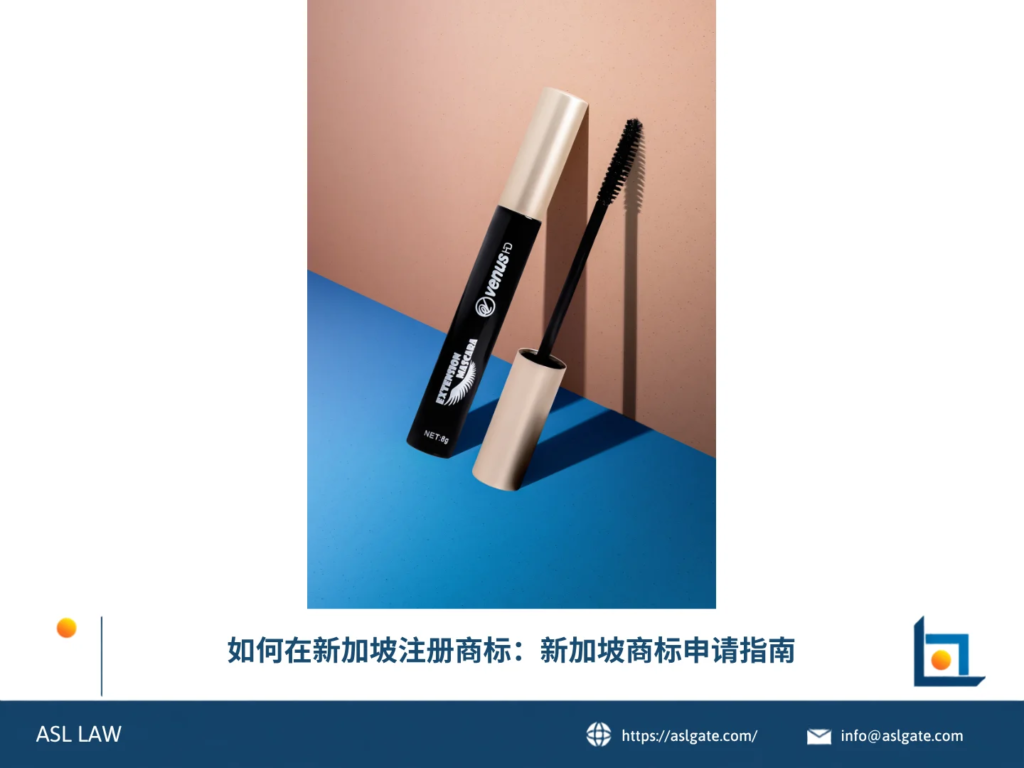 ASL LAW知识产权律师向企业客户讲解新加坡商标注册流程与实务操作要点。
