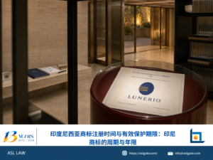 ASL LAW商标代理人在河内办公室向企业客户讲解印尼商标注册时间与有效保护期限。